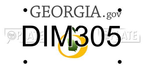DIM305 Georgia License Plate
