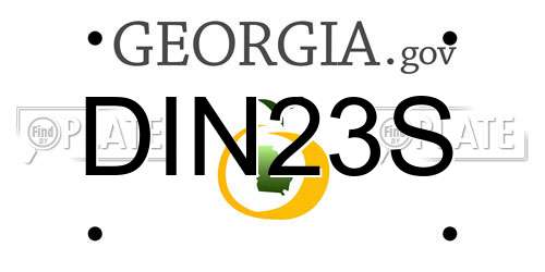 DIN23S Georgia License Plate