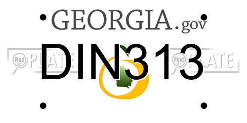 DIN313 Georgia License Plate