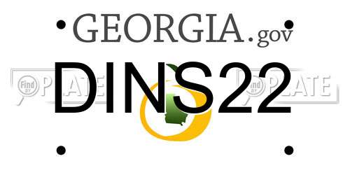 DINS22 Georgia License Plate