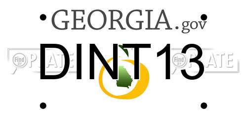 DINT13 Georgia License Plate