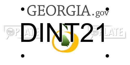 DINT21 Georgia License Plate