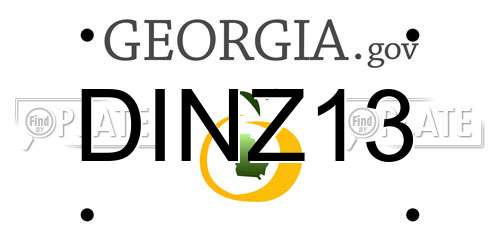DINZ13 Georgia License Plate
