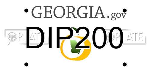 DIP200 Georgia License Plate