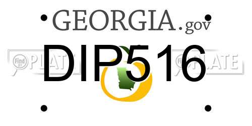DIP516 Georgia License Plate
