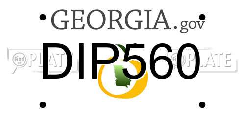 DIP560 Georgia License Plate