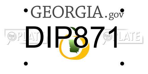 DIP871 Georgia License Plate