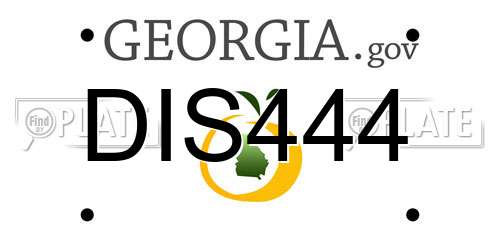 DIS444 Georgia License Plate