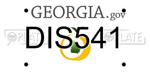 DIS541 Georgia License Plate