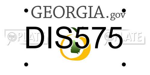 DIS575 Georgia License Plate