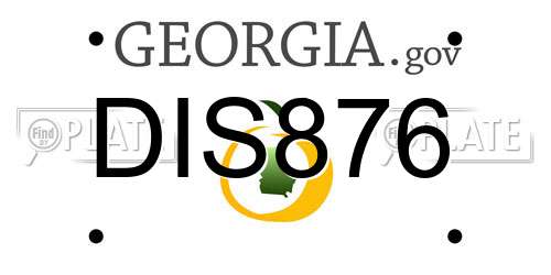 DIS876 Georgia License Plate