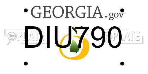 DIU790 Georgia License Plate