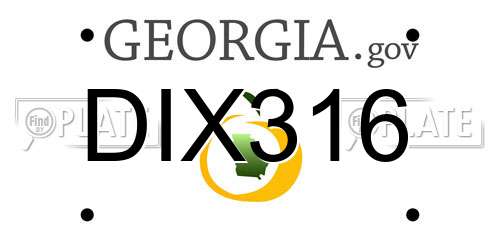 DIX316 Georgia License Plate