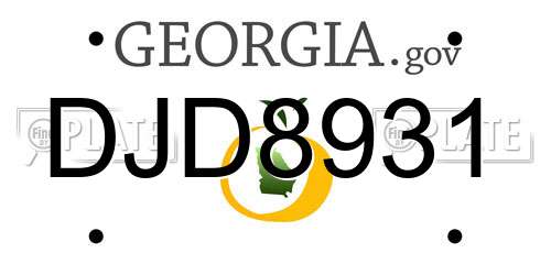 DJD8931 Georgia License Plate