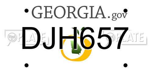 DJH657 Georgia License Plate