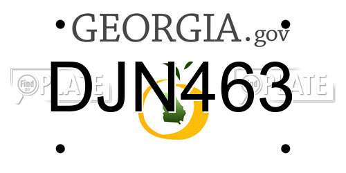 DJN463 Georgia License Plate
