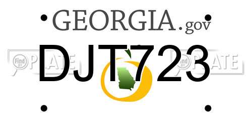 DJT723 Georgia License Plate