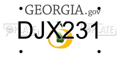 DJX231 Georgia License Plate