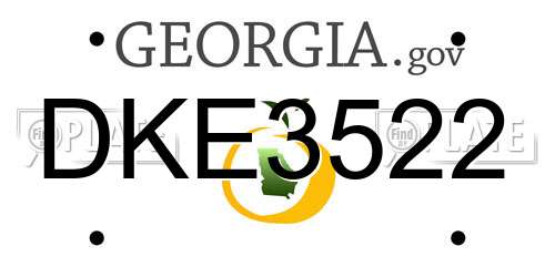 DKE3522 Georgia License Plate