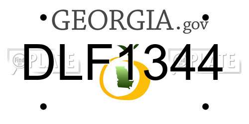DLF1344 Georgia License Plate