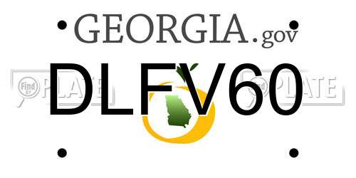 DLFV60 Georgia License Plate