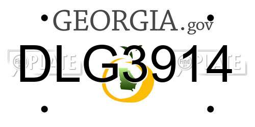 DLG3914 Georgia License Plate