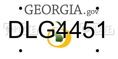 DLG4451 Georgia License Plate