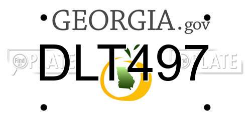DLT497 Georgia License Plate
