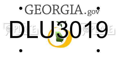 DLU3019 Georgia License Plate