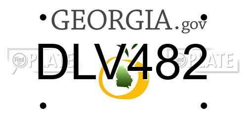 DLV482 Georgia License Plate