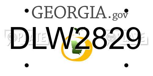 DLW2829 Georgia License Plate