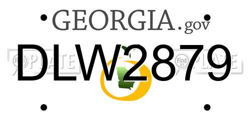 DLW2879 Georgia License Plate