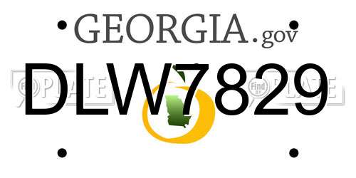 DLW7829 Georgia License Plate