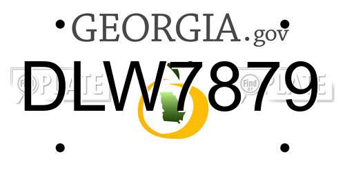 DLW7879 Georgia License Plate