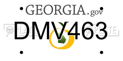 DMV463 Georgia License Plate
