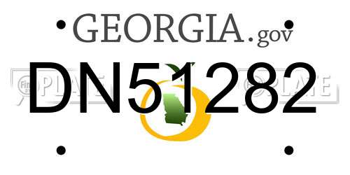 DN51282 Georgia License Plate
