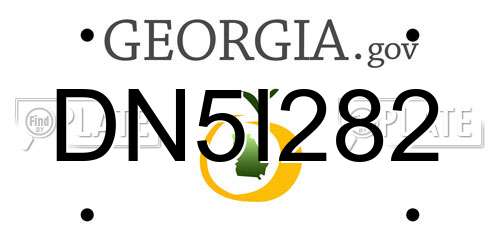 DN5I282 Georgia License Plate