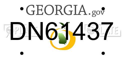 DN61437 Georgia License Plate