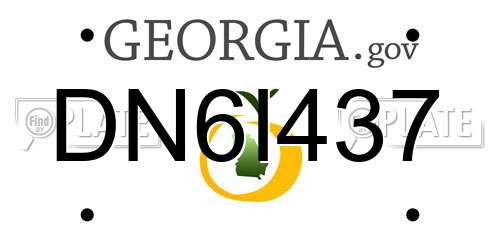 DN6I437 Georgia License Plate