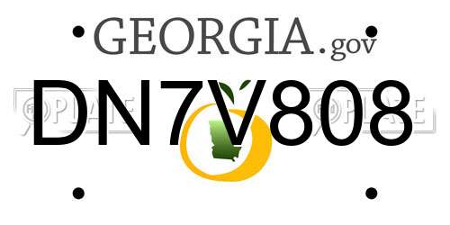DN7V808 Georgia License Plate