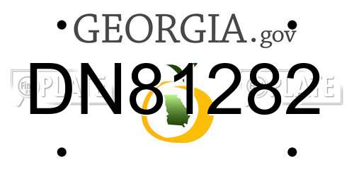 DN81282 Georgia License Plate