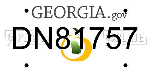 DN81757 Georgia License Plate