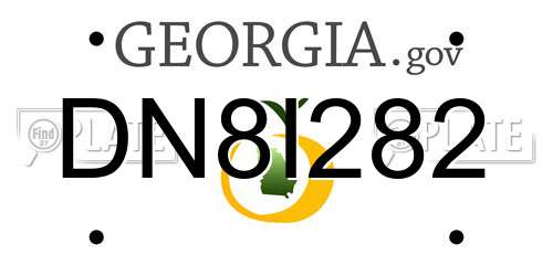 DN8I282 Georgia License Plate