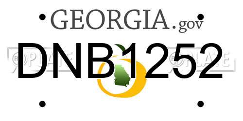 DNB1252 Georgia License Plate