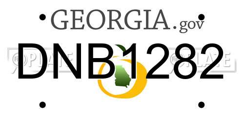 DNB1282 Georgia License Plate