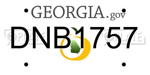 DNB1757 Georgia License Plate