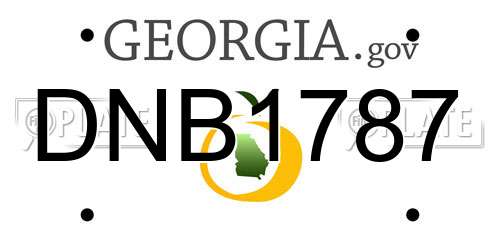 DNB1787 Georgia License Plate