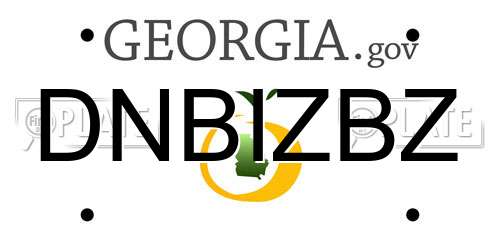 DNBIZBZ Georgia License Plate