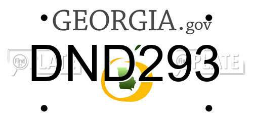 DND293 Georgia License Plate