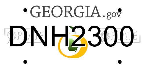 DNH2300 Georgia License Plate